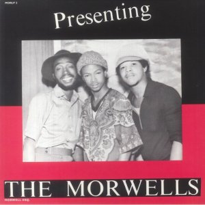 画像1: MORWELLS - PRESENTING THE MORWELLS / LP /