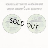 HORACE ANDY MEETS NAGGO MORRIS & WAYNE JARRETT